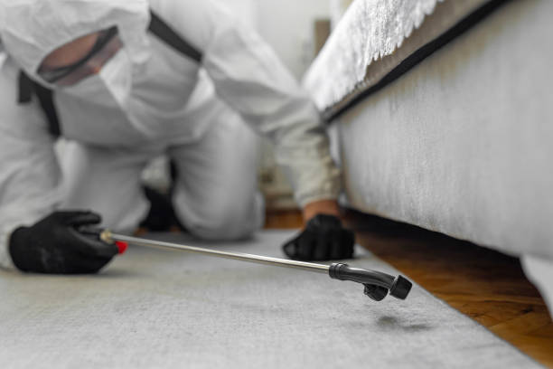 Professional Cockroach Control technician working in Waterville, ME