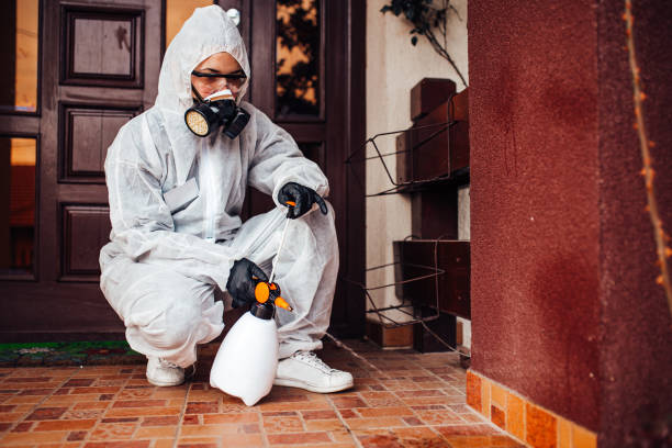 Reliable Cockroach Control contractor in Waterville, ME by Nex Pest Control
