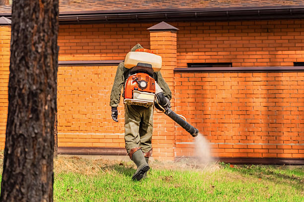 Top rated local Cockroach Control specialists in Waterville, ME